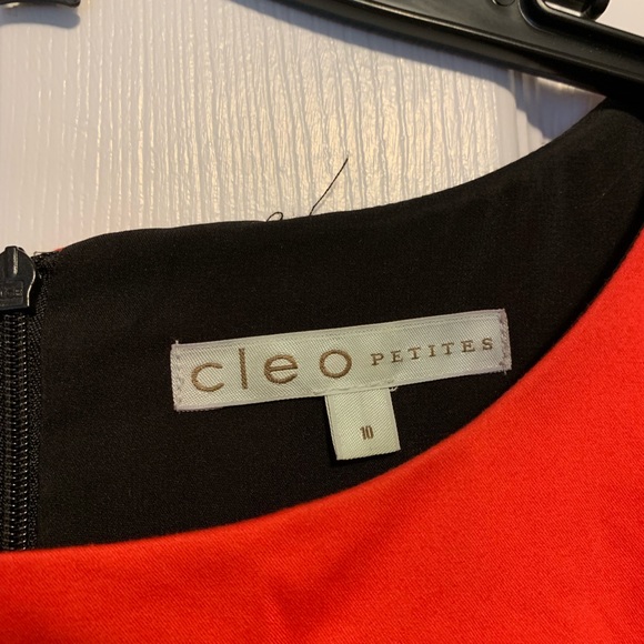 Cleo Petite Dress - Picture 2 of 2